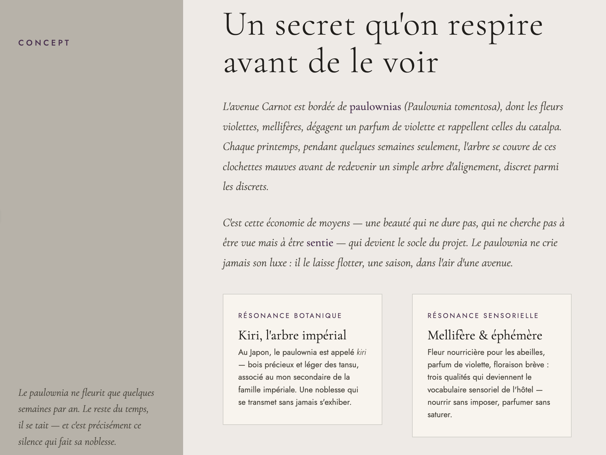 L'esprit du lieu — le paulownia de l'avenue Carnot